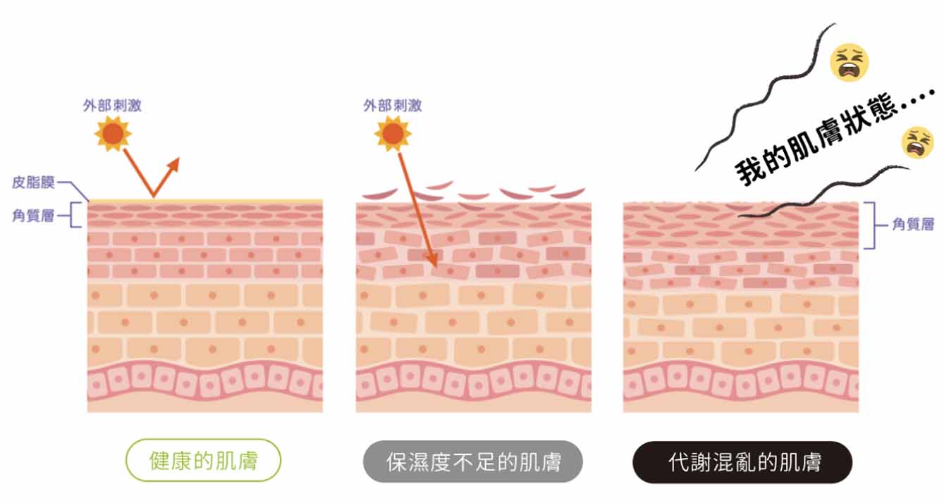 俏樂斯 曾沛慈 小綠餅 美白 抗皺 幼美肌 全方位保濕水凝霜 肉芽 顆粒 脂肪粒 醫美 電燒 除肉芽 淡化斑點 保濕 凝膠 沖繩 薏米 巴鈺