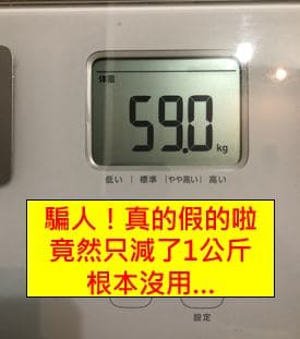 減肥 瘦身 剷肉 減重 酵素 燃脂