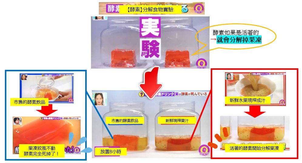 減肥 瘦身 剷肉 減重 酵素 燃脂