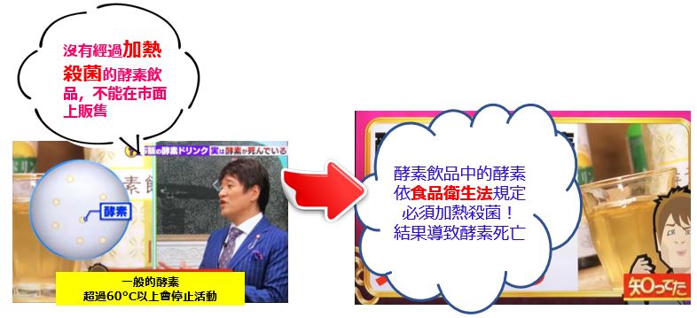 減肥 瘦身 剷肉 減重 酵素 燃脂