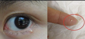 截圖 2021-01-23 下午12.44.46.png