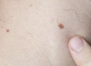 截圖 2021-01-28 下午7.04.52.png