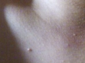 截圖 2021-01-28 下午7.09.40.png