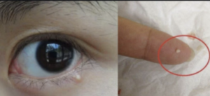 截圖 2021-01-28 下午7.32.44.png