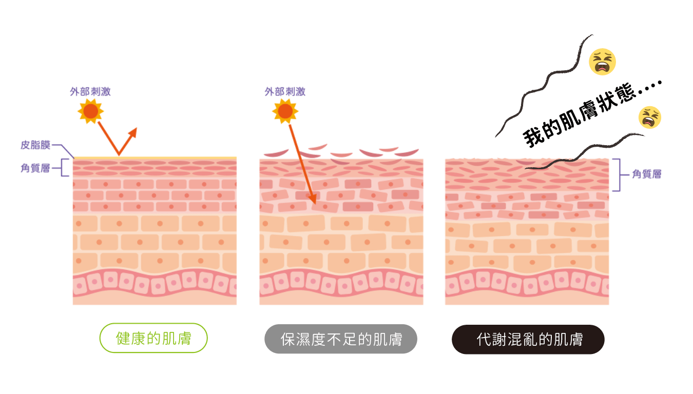 俏樂斯 曾沛慈 小綠餅 美白 抗皺 幼美肌 全方位保濕水凝霜 肉芽 顆粒 脂肪粒 醫美 電燒 除肉芽 淡化斑點 保濕 凝膠 沖繩 薏米