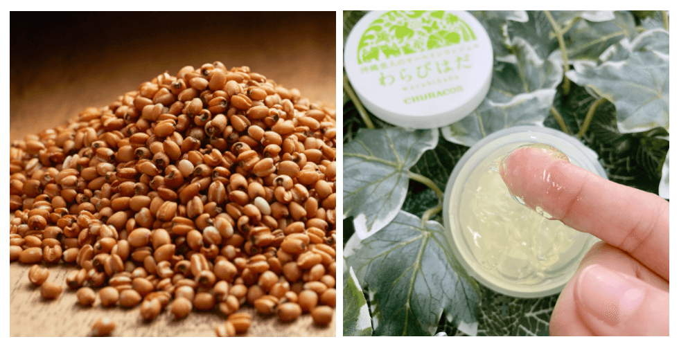 俏樂斯 曾沛慈 小綠餅 美白 抗皺 幼美肌 全方位保濕水凝霜 肉芽 顆粒 脂肪粒 醫美 電燒 除肉芽 淡化斑點 保濕 凝膠 沖繩 薏米 巴鈺