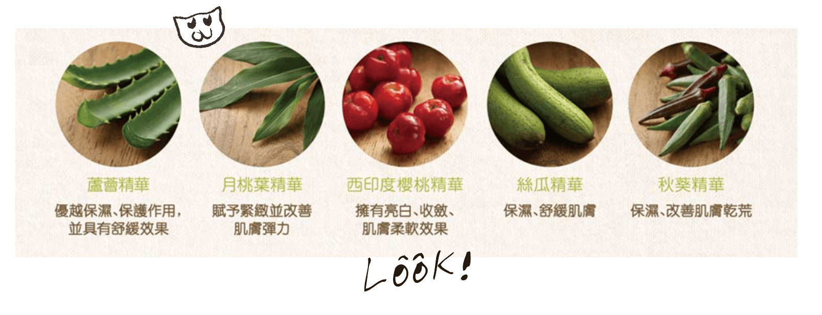 俏樂斯 曾沛慈 小綠餅 美白 抗皺 幼美肌 全方位保濕水凝霜 肉芽 顆粒 脂肪粒 醫美 電燒 除肉芽 淡化斑點 保濕 凝膠 沖繩 薏米 巴鈺