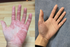 螢幕擷取畫面 2023-05-31 093435.png